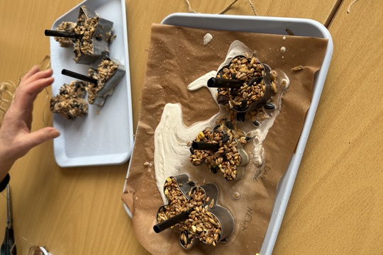 ZÁVĚSNÁ KRMÍTKA PRO PTÁČKY ZÁVĚSNÁ KRMÍTKA PRO PTÁČKY 1