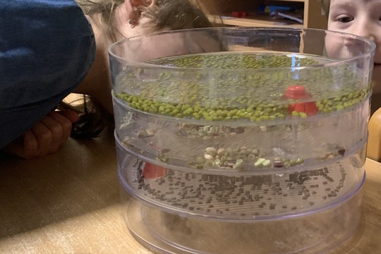 Malí pěstitelé v akci 1