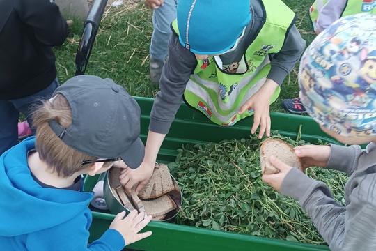 Jarní dobrodružství s kůzlátky 1