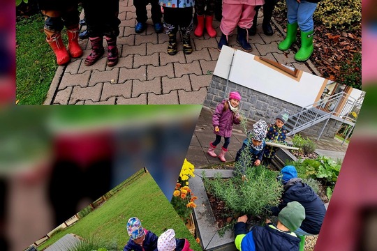 Zahradníci v akci 1