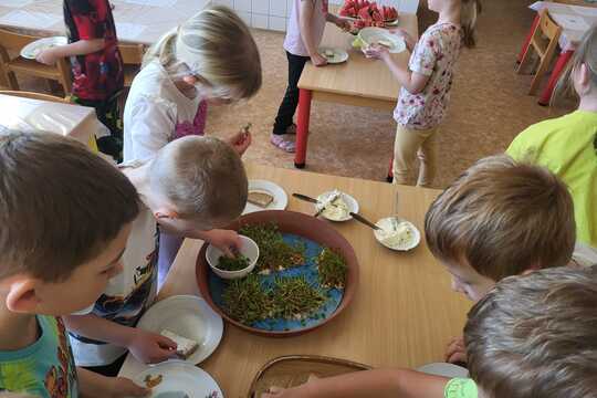 Co roste na Zemi - Sluníčka 1