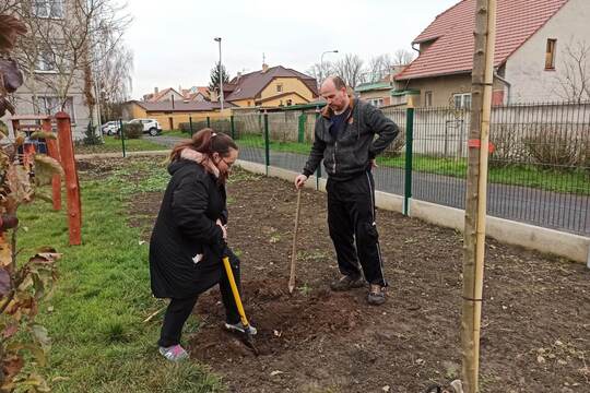 Výzva pro rodiče "Zasaďte si váš (náš) strom" 1