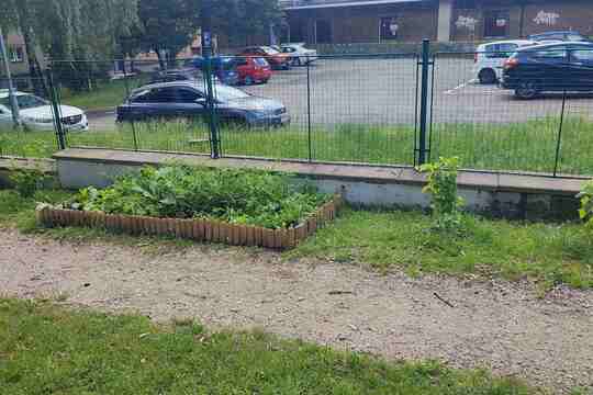 Jedlá zahrada roste díky společnému nadšení 1