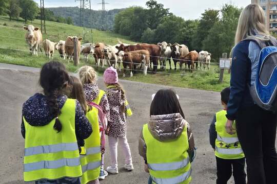 Modráček na Farmě Skalka Modráček na Farmě Skalka 1