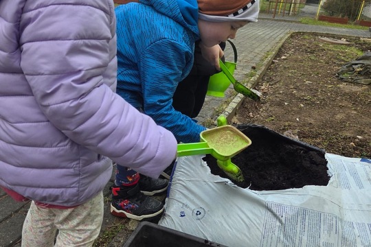 Berušky MŠ Kollárova - sázení kytiček 1