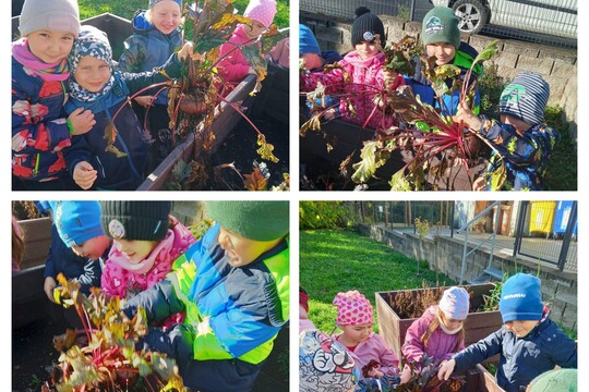 Zahradníci v akci 1