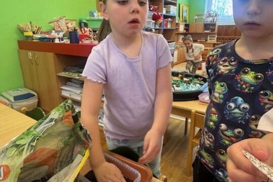 Microgreens - Sovičky 1