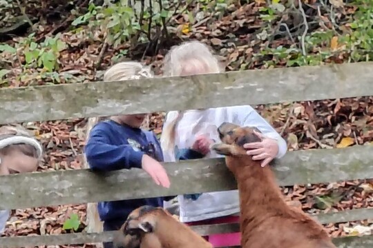 Podzimní družinka 1