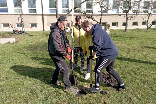 Sázíme stromy, keře a byliny na školní zahradě 1