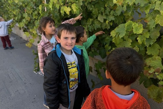 První úroda ze školní vinice potěšila děti z přípravné třídy První úroda ze školní vinice potěšila děti z přípravné třídy 1