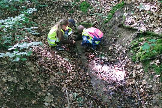 Studánky 1