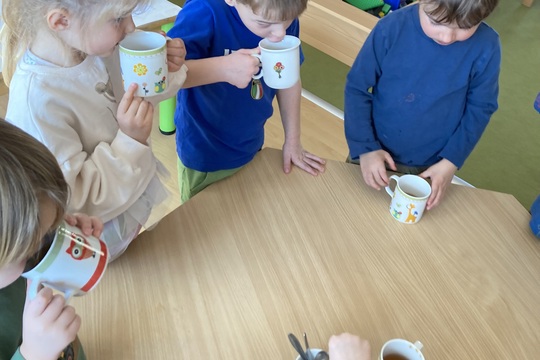 Vitamínový čaj - Berušky 1