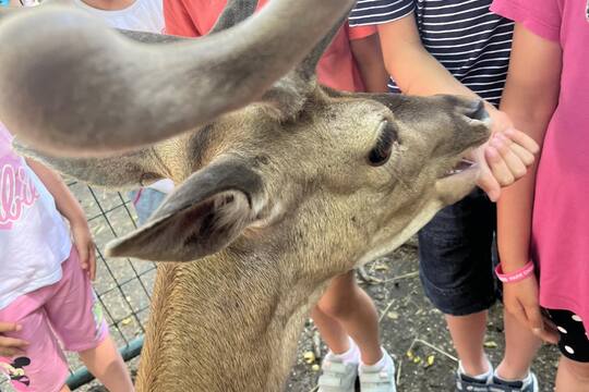 Náš Smíšek  1