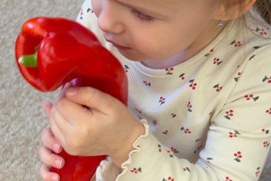 Paprika jako propojené aktivity  1