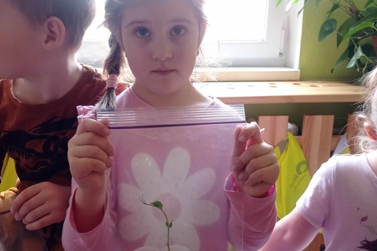 Zelený ČTVRTEK 1