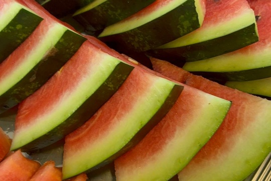 1. místo ceny hejtmana 1. místo ceny hejtmana 1