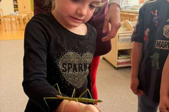 Zvířátka – ať už plastová, plyšová, živá nebo kreslená 1