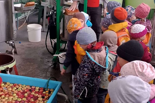 Jak se dělá mošt? Jak se dělá mošt? 1