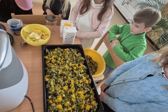 Světový den včel  1