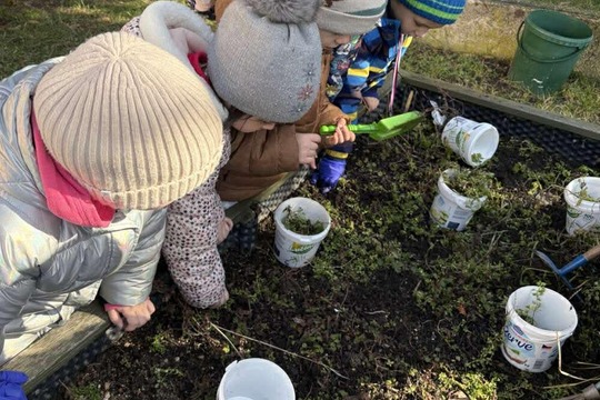 Jarní probouzení zahrádky 1