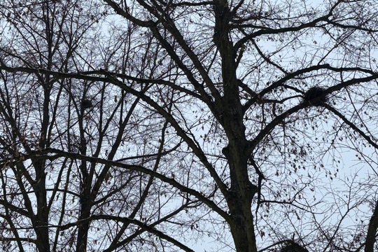 Vnímáme přírodu  1