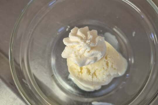 Zmrzlina ve sněhu 1