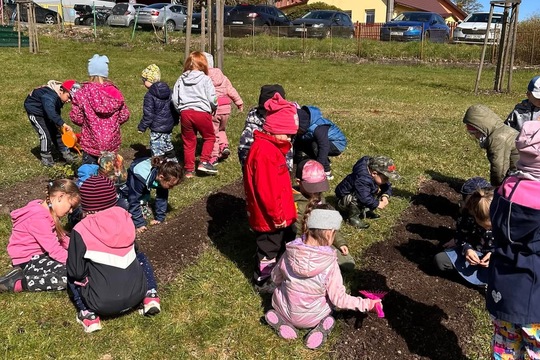 Jarní příprava záhonů 1