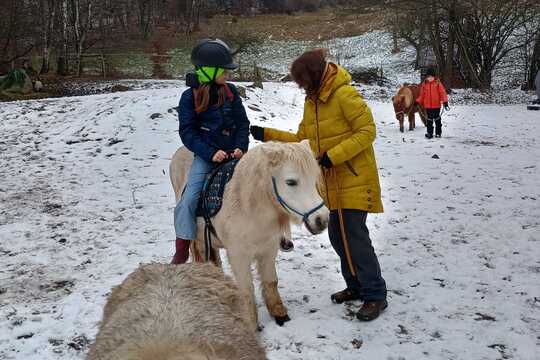 Návštěva poníků v Lísce Návštěva poníků v Lísce 1