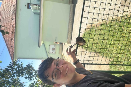Slunečnice pro ptáky 1