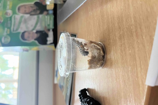 Líhnutí motýlů 1