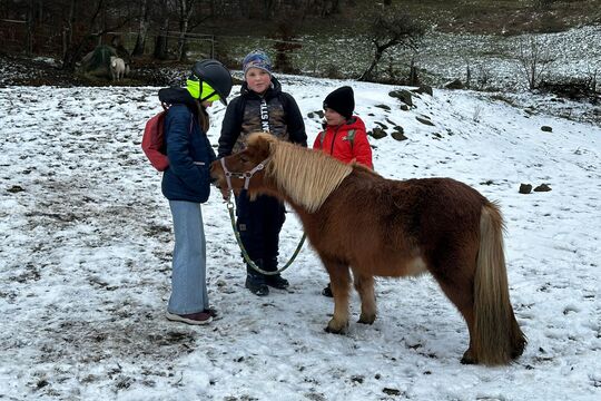 Návštěva poníků v Lísce Návštěva poníků v Lísce 1