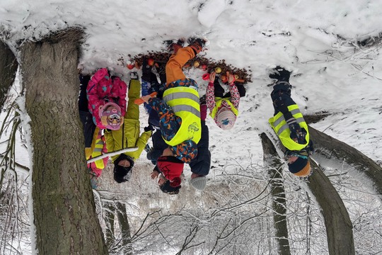 Dobroty pro zvířátka - Sluníčka 1