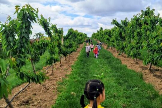 Za naším farmářem do Těchobuzic Za naším farmářem do Těchobuzic 1