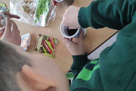 Třídění odpadu Třídění odpadu 1