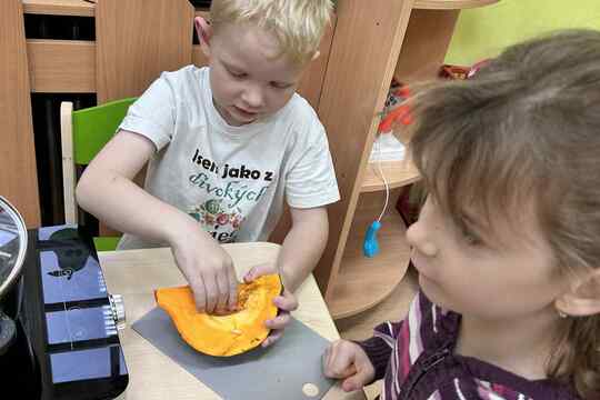 Berušky vařily dýnovou polévku  1