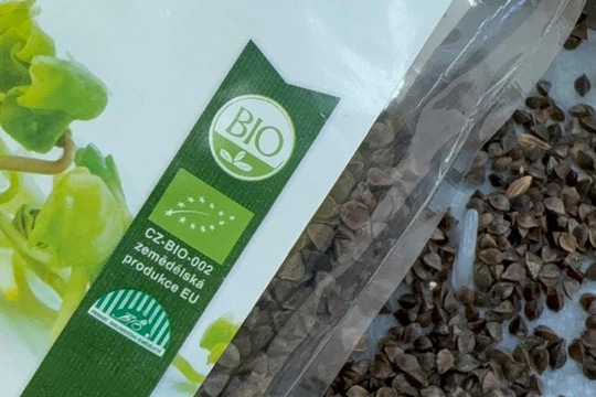 Naše oblíbená aktivita  1