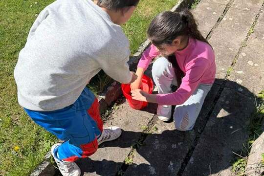 Pracovní činnosti  1