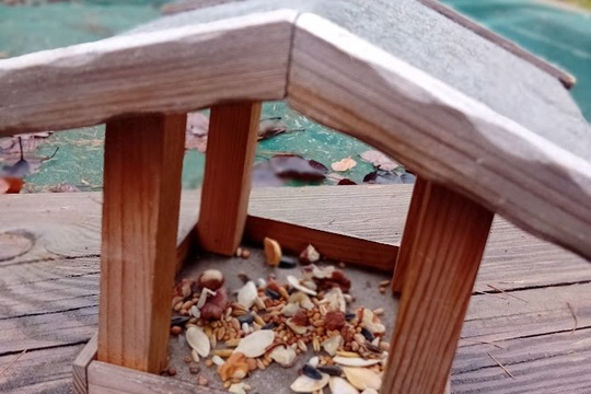 Advent u nás Advent u nás 1