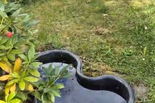 Cesta k jedlé zahradě. Cesta k jedlé zahradě. 1