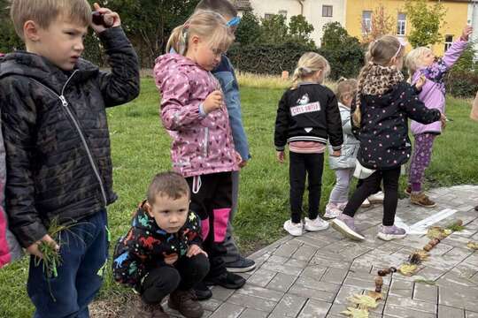 Domino z přírodnin ???????????? 1