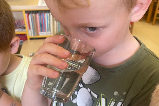 Domácí mátový sirup  1
