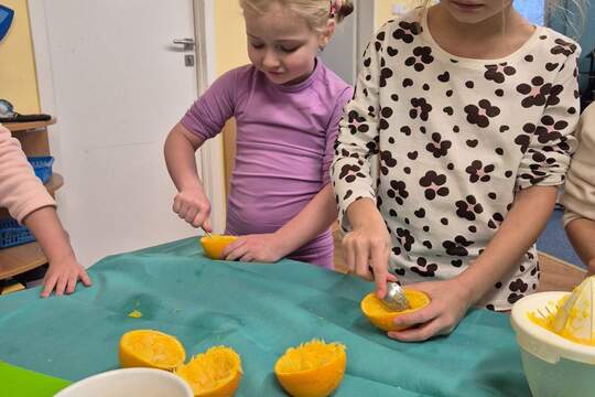 Džus a krmítka z čerstvých pomerančů 1