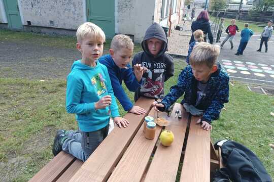 Světový den jídla Světový den jídla 1