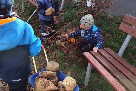 Připravujeme naši zahradu k odpočinku 1