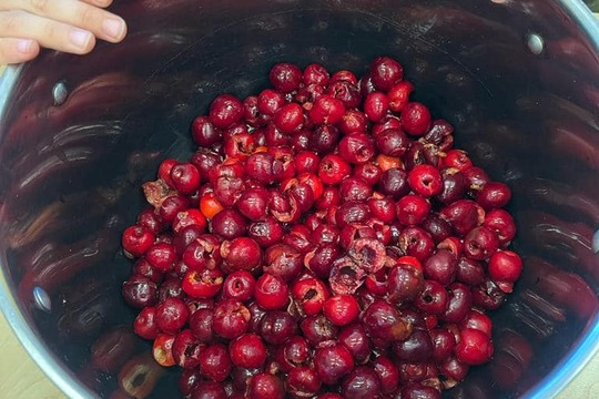 Domácí třešňový sirup  1