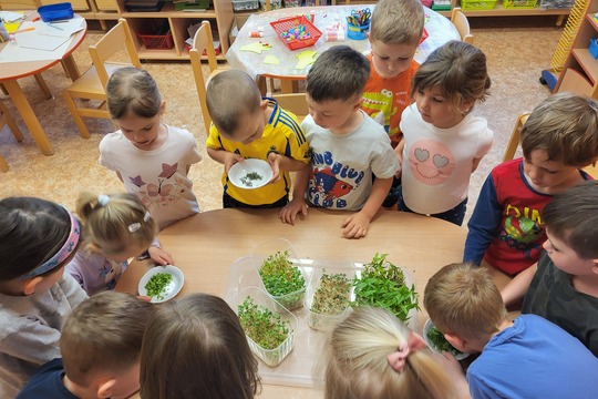 Microgreens - Kytičky 1