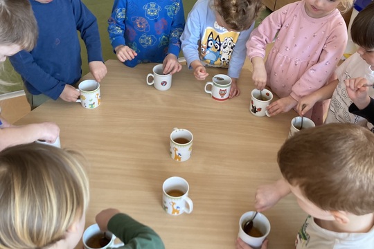 Vitamínový čaj - Berušky 1