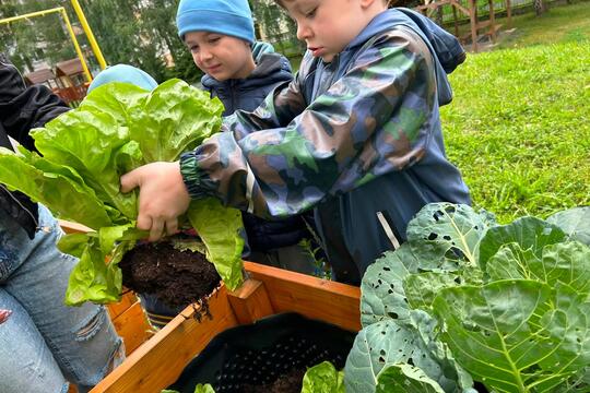 MŠ Dukelsých hrdinů - Malí zahradníci MŠ Dukelsých hrdinů - Malí zahradníci 1