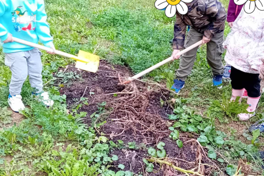 Zářijová sklizeň 1