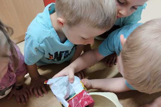 „Výroba domácí borůvkové zmrzliny“ 1